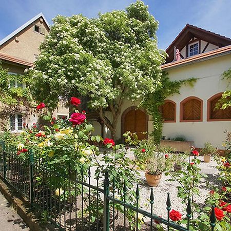 Ferienwohnungen Altes Rathaus 보츠부르크 외부 사진