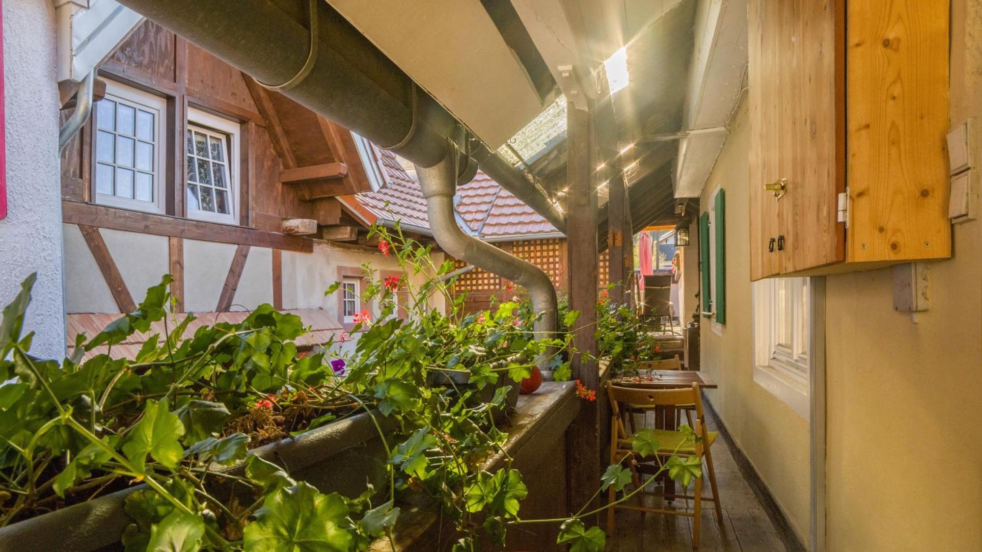 Ferienwohnungen Altes Rathaus 보츠부르크 외부 사진